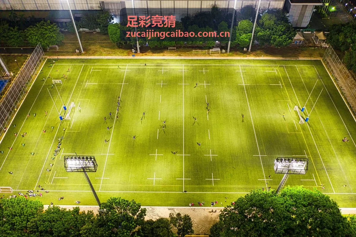 足彩竞猜历史数据趋势图表示例